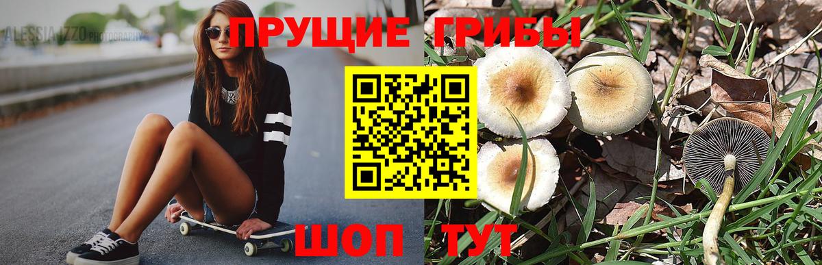 закладка  Галлюциногенные грибы Cubensis  Вход с VPN  Самара 